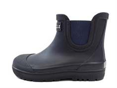 Aigle